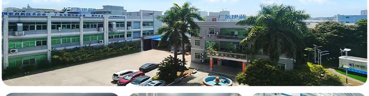 东莞生产基地厂区实拍